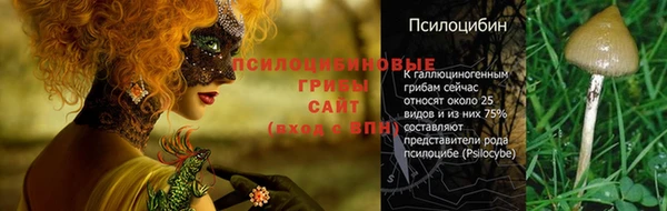 ПСИЛОЦИБИНОВЫЕ ГРИБЫ Алексин