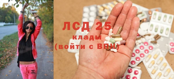 гашик Бежецк