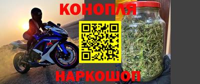 ГАЛЛЮЦИНОГЕННЫЕ ГРИБЫ Гатчина
