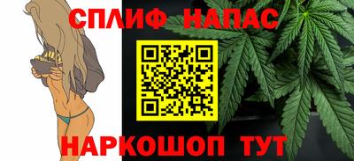спайс Гай