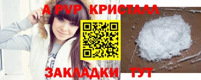 спайс Гай