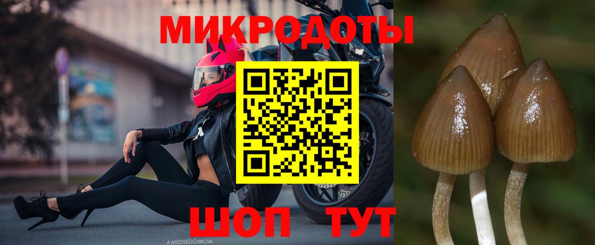 Псилоцибиновые грибы мухоморы Нижний Новгород